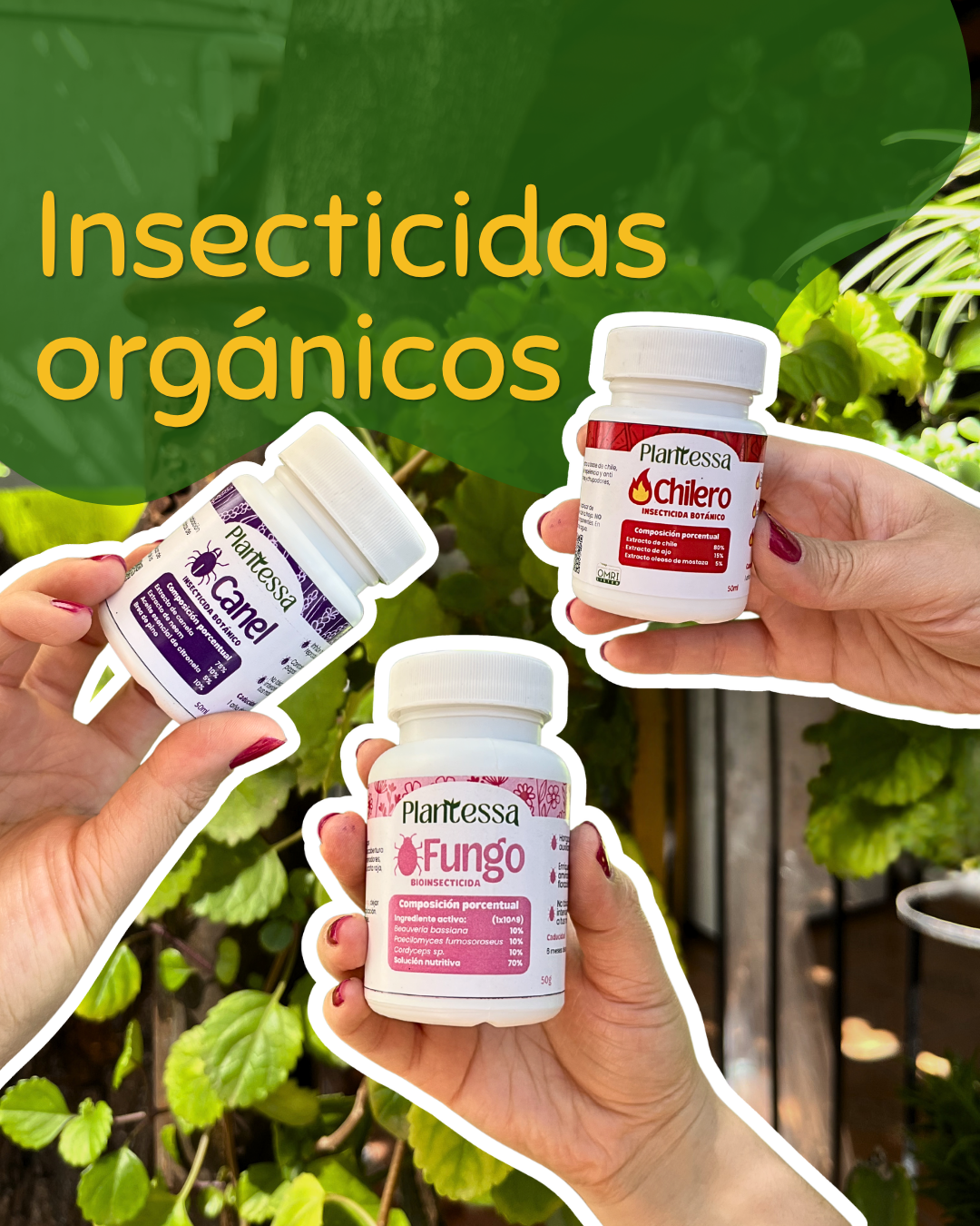 Insecticidas orgánicos