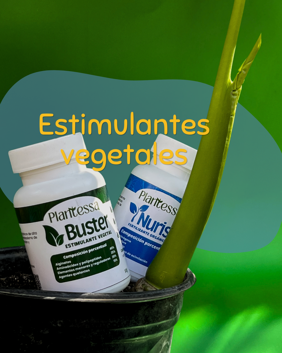 Estimulantes vegetales
