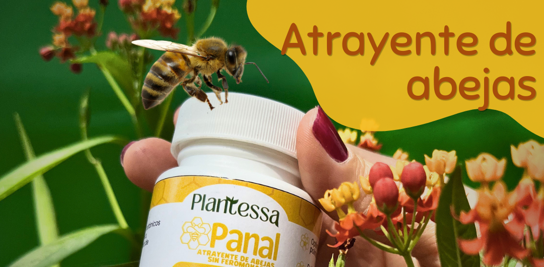 Atrayente de abejas