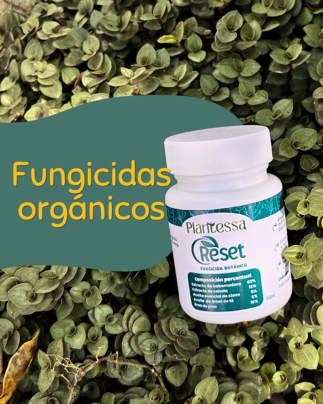 Fungicidas Orgánicos