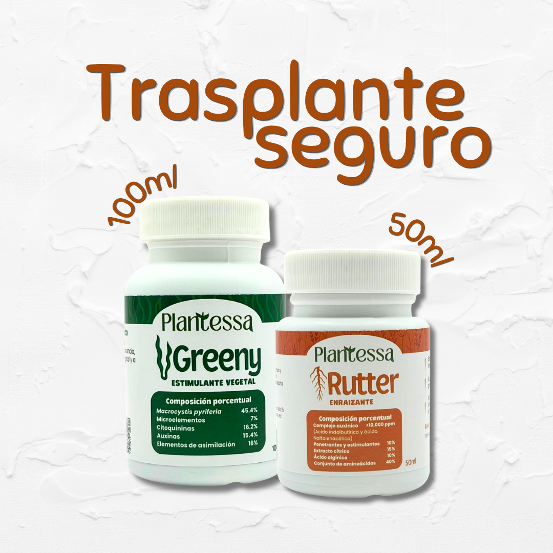Trasplante seguro