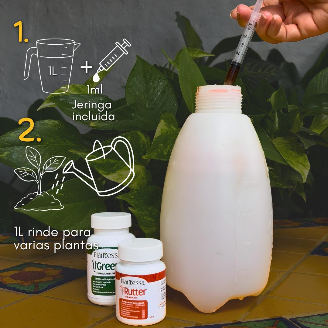 Trasplante seguro – Enraizamiento y Cero Estrés