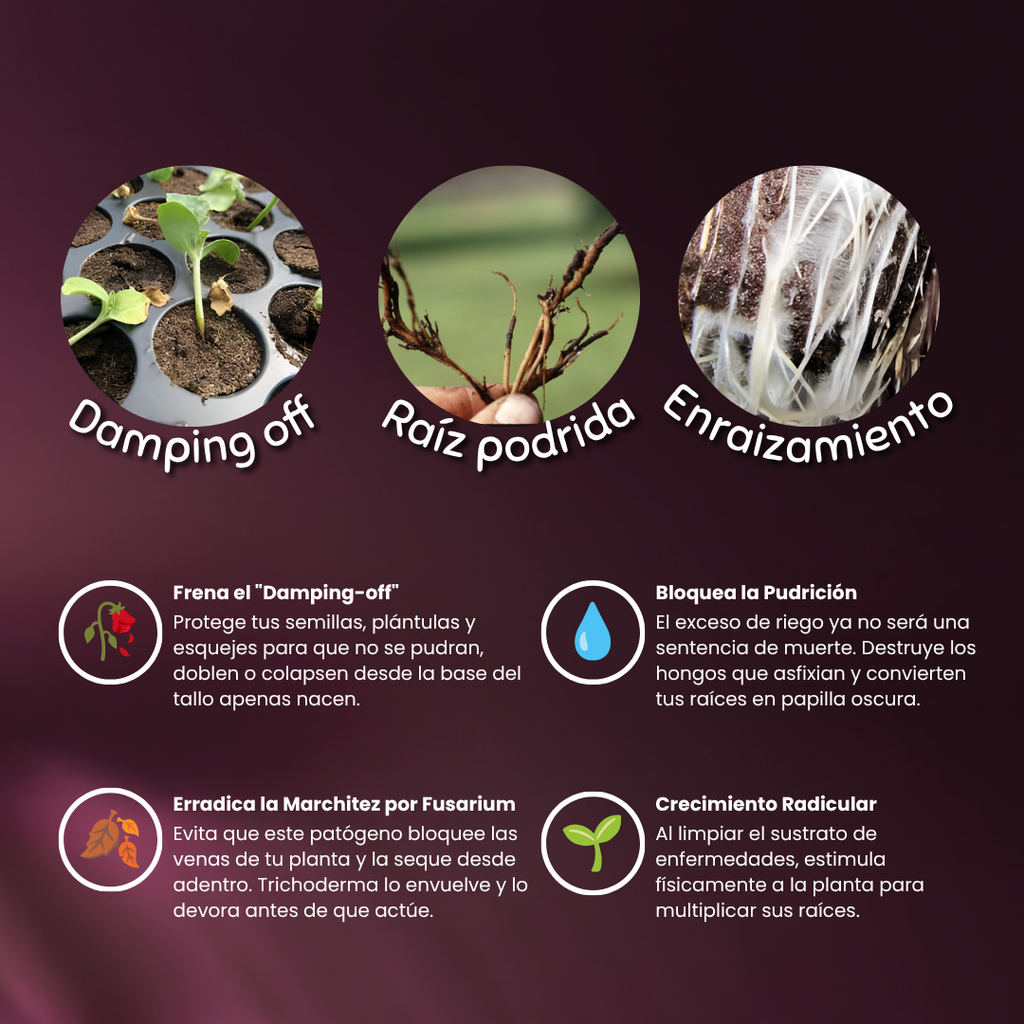 Trish – Estimulante Radicular y Bio-Protector de raíces