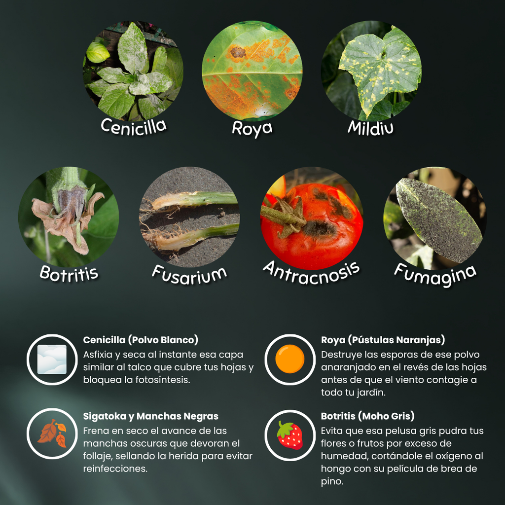 Reset - Tratamiento Anti-Hongos para tus Plantas