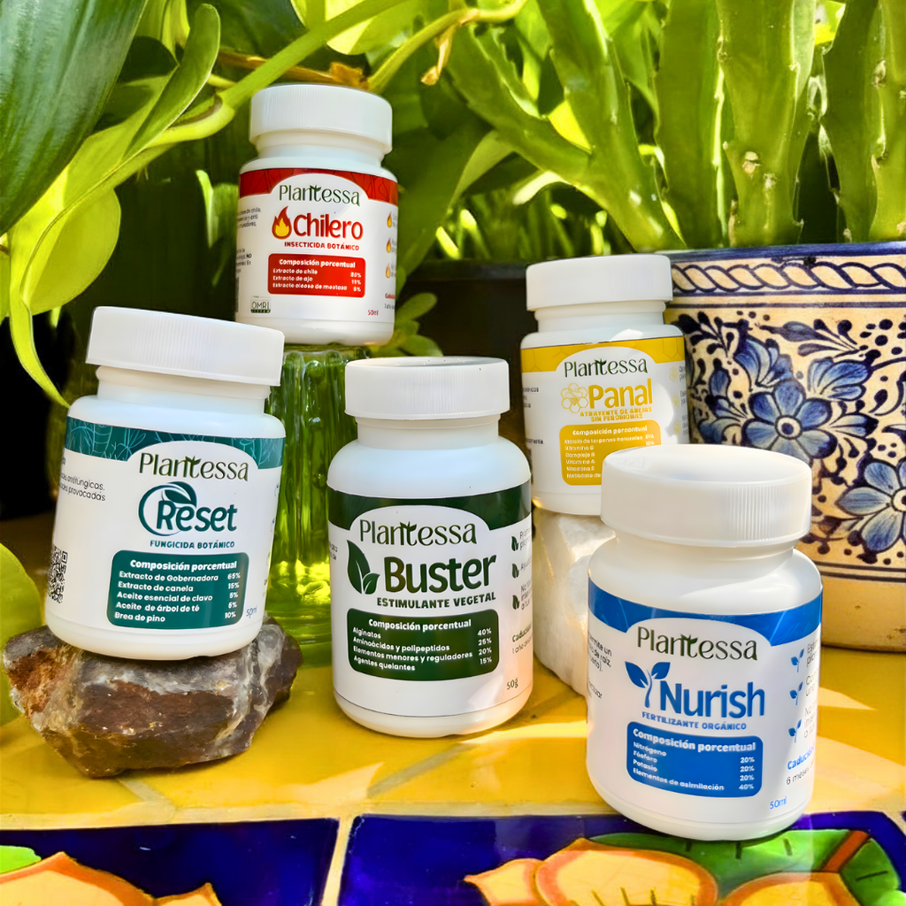 👩‍🌾 Kit Huerto Urbano