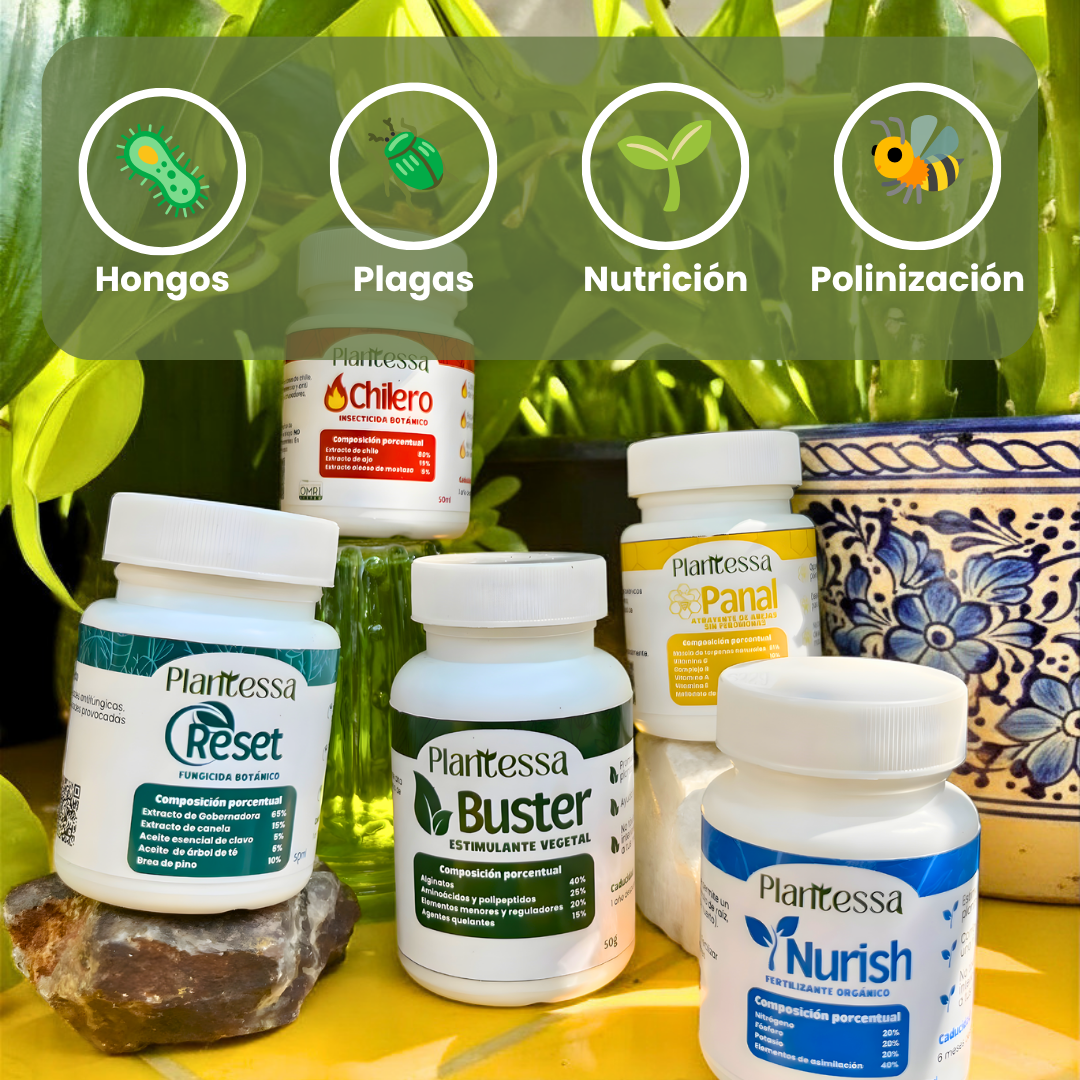 👩‍🌾 Kit Huerto Urbano – Cosecha y Defensa Total