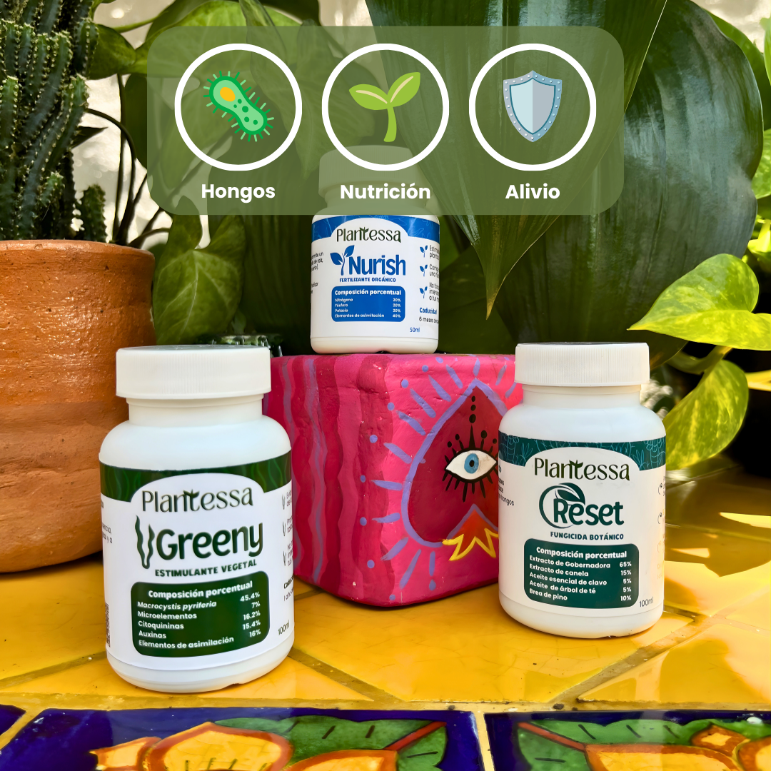 🌵Kit SOS Hongos – Rescate y Regeneración