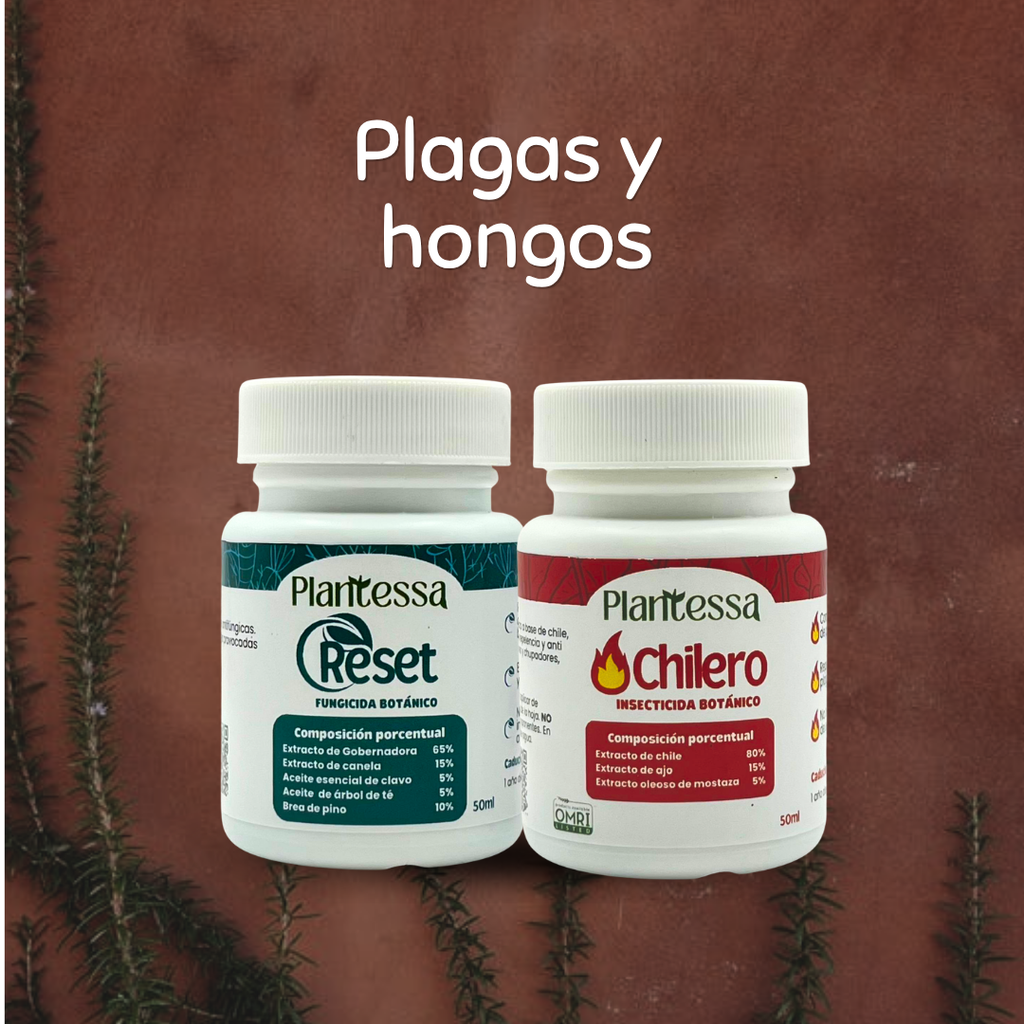👩‍🌾 Kit Huerto Urbano