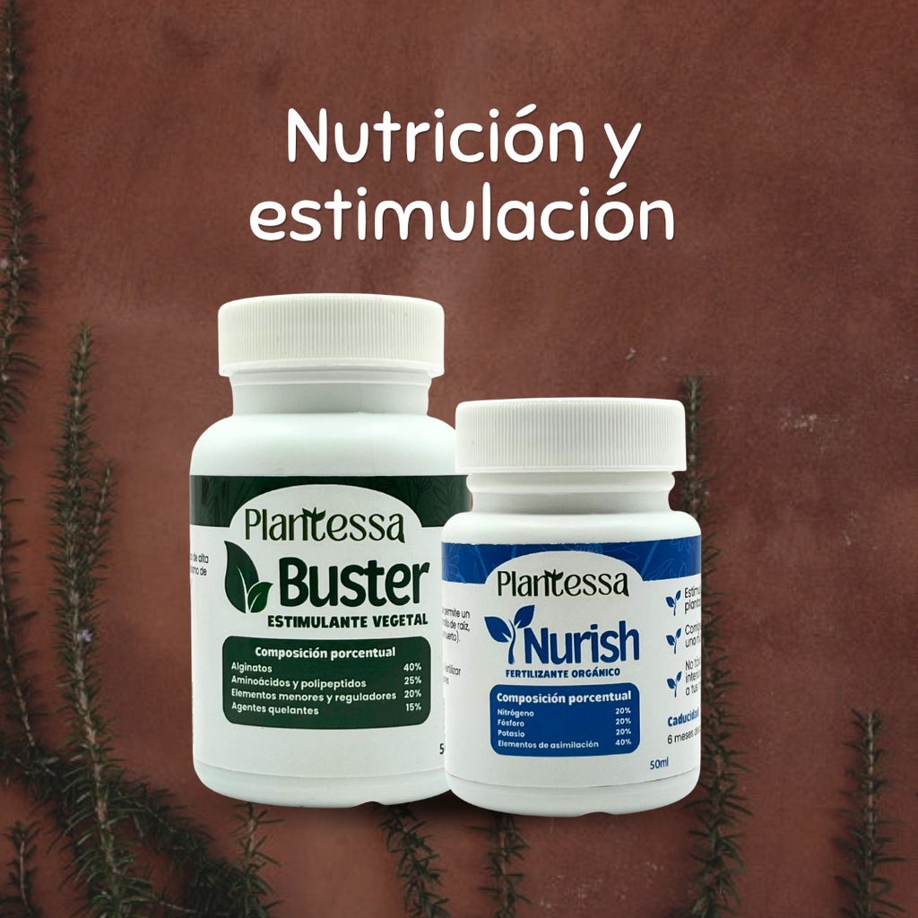 👩‍🌾 Kit Huerto Urbano