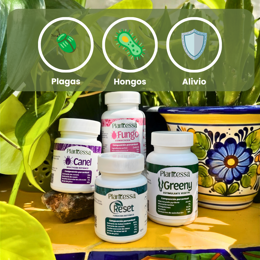 🪴Kit Alivio y Protección - Plagas, hongos y alivio
