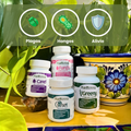🪴Kit Alivio y Protección - Plagas, hongos y alivio