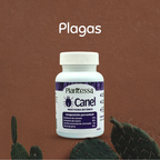 🪲Kit Anti-Plagas