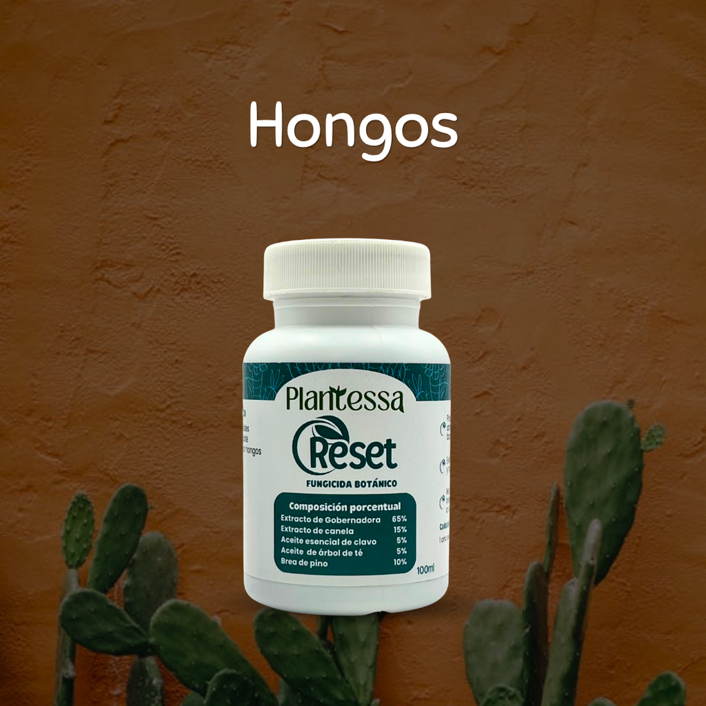 🌵Kit S.O.S Hongos