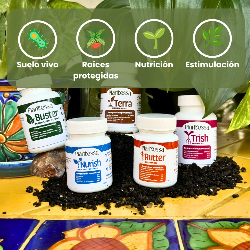 🌱Kit Mejora tu sustrato