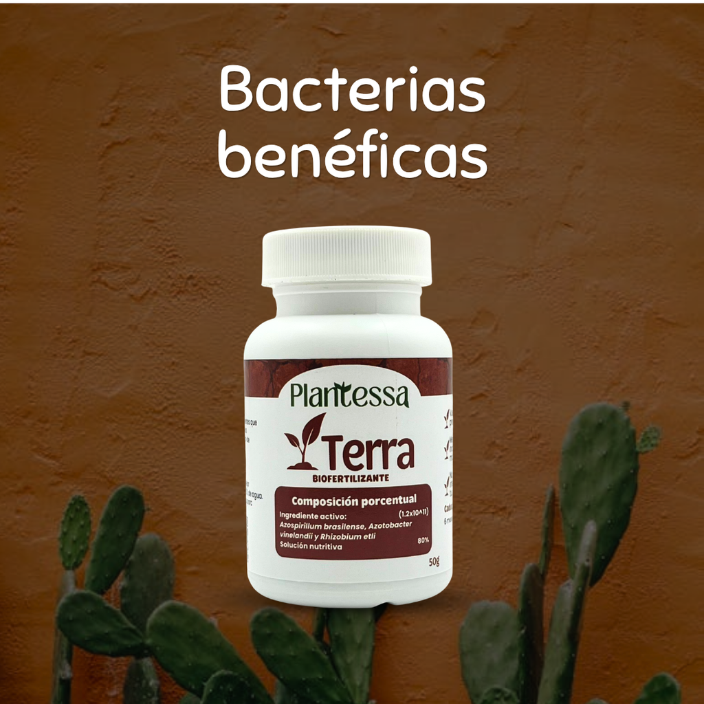 🌱Kit Mejora tu sustrato