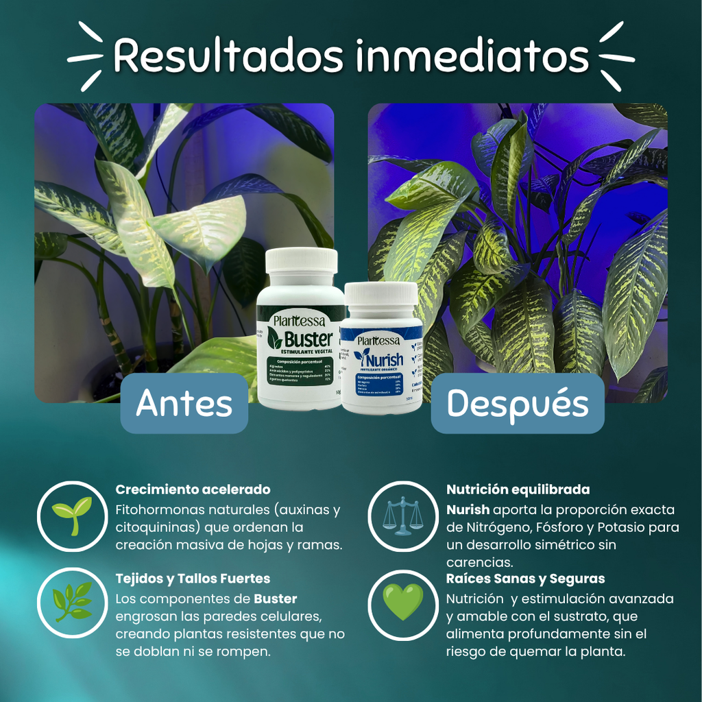 🌱Kit Mejora tu sustrato