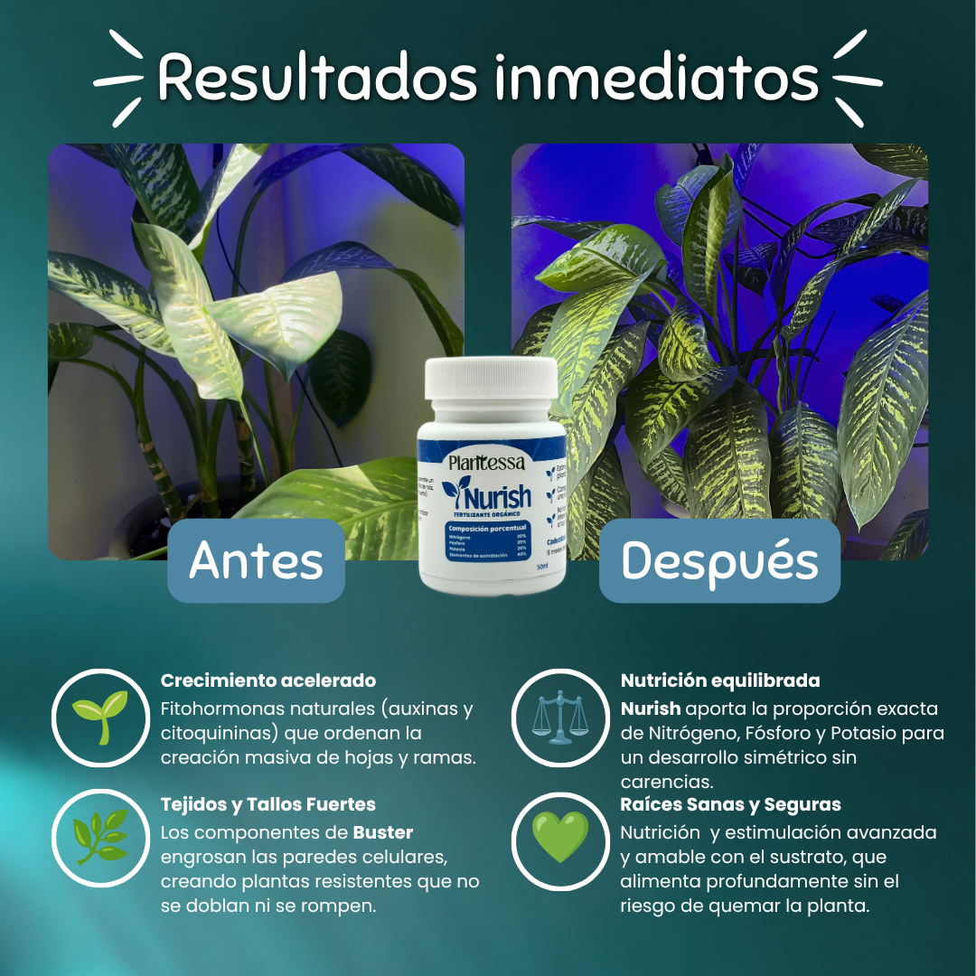 🌵Kit SOS Hongos – Rescate y Regeneración