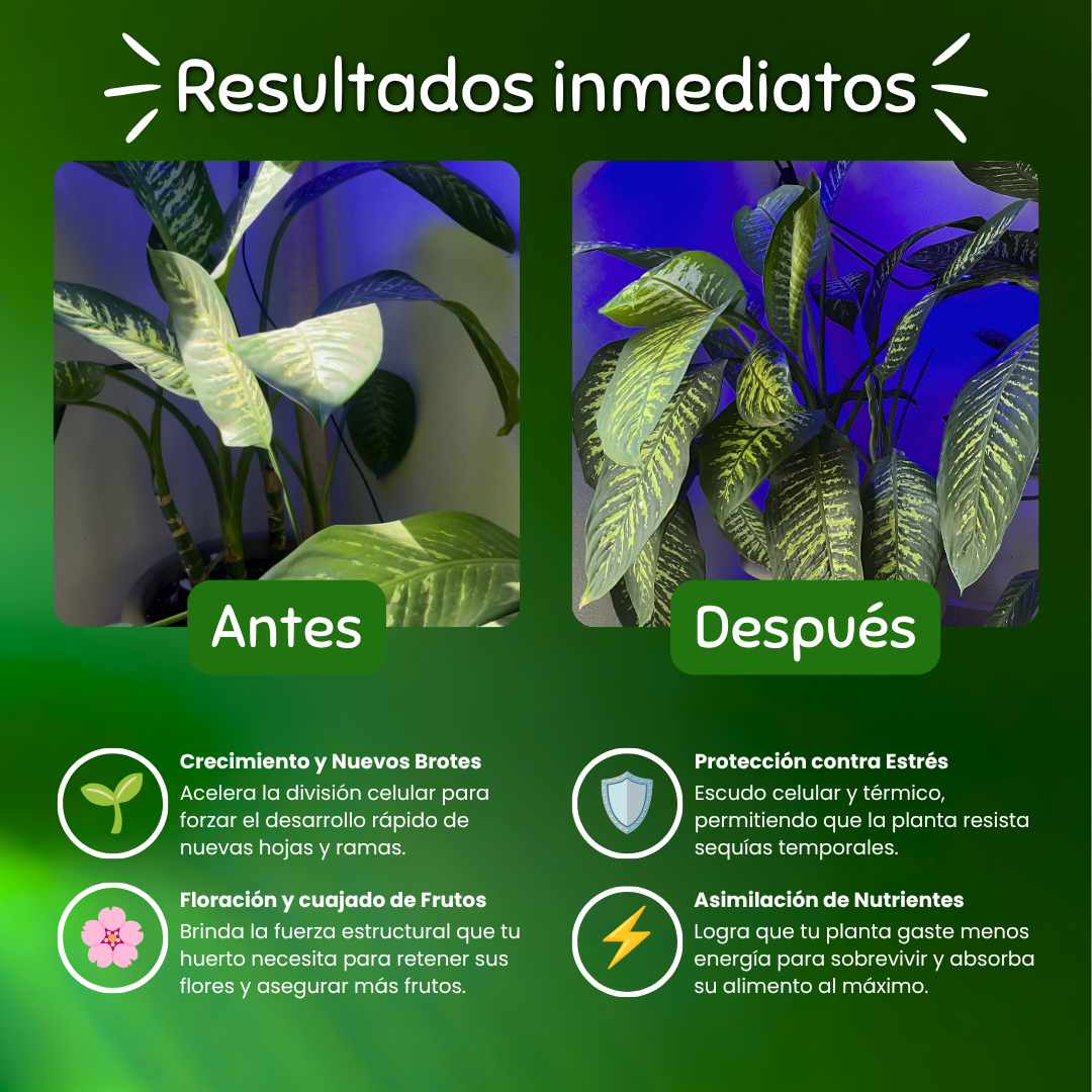 Buster - Biostimulante de Brotes, Ramas y Flores