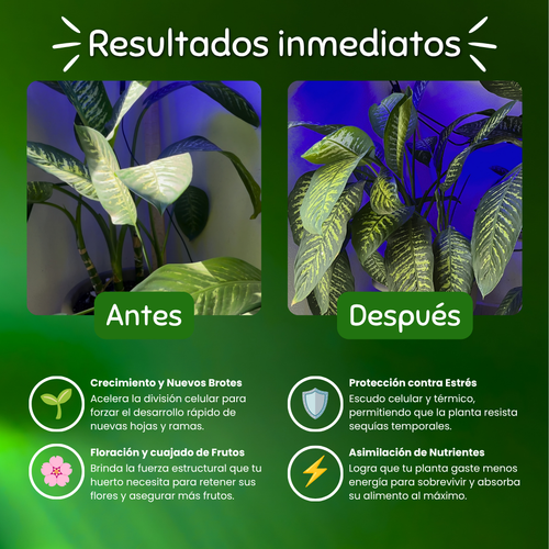 Buster - Biostimulante de Brotes, Ramas y Flores
