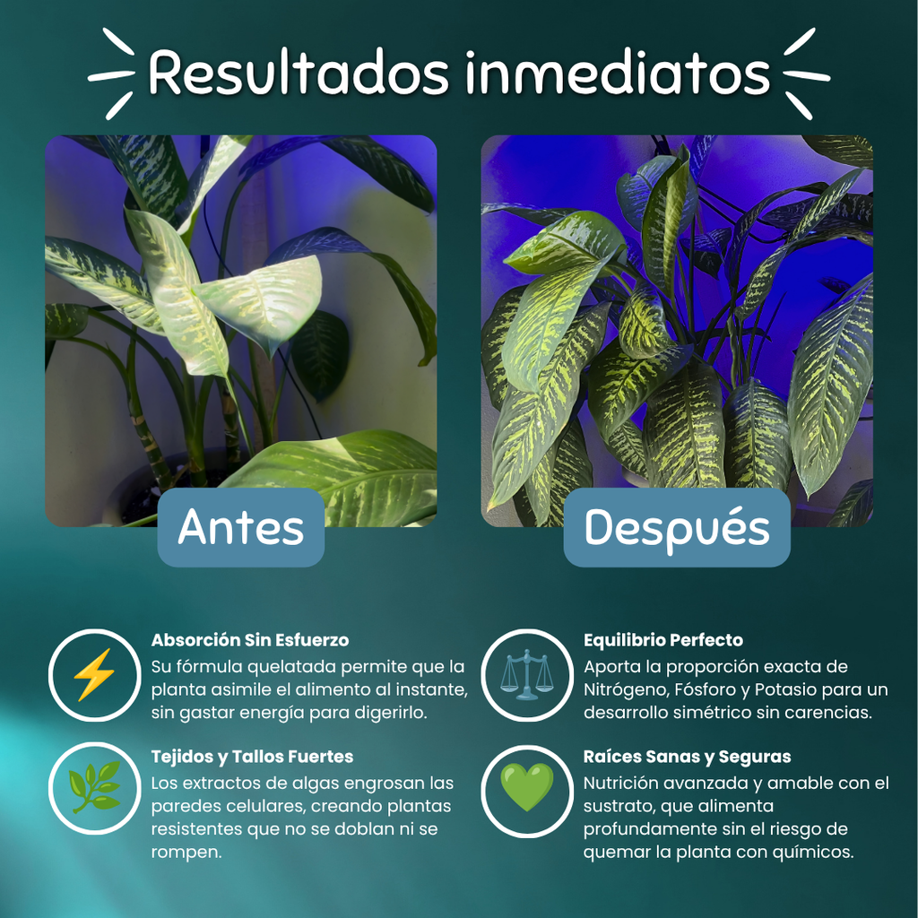 Nurish - Nutrición Inmediata (NPK 20-20-20 + Aminoácidos).
