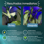 Nurish - Nutrición Inmediata (NPK 20-20-20 + Aminoácidos).