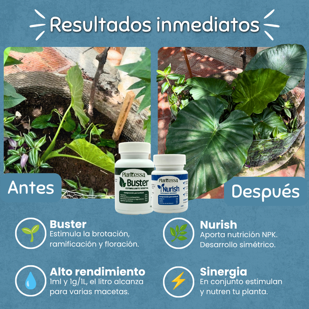 Dúo Frondoso – Nutrición y Estimulación Acelerada