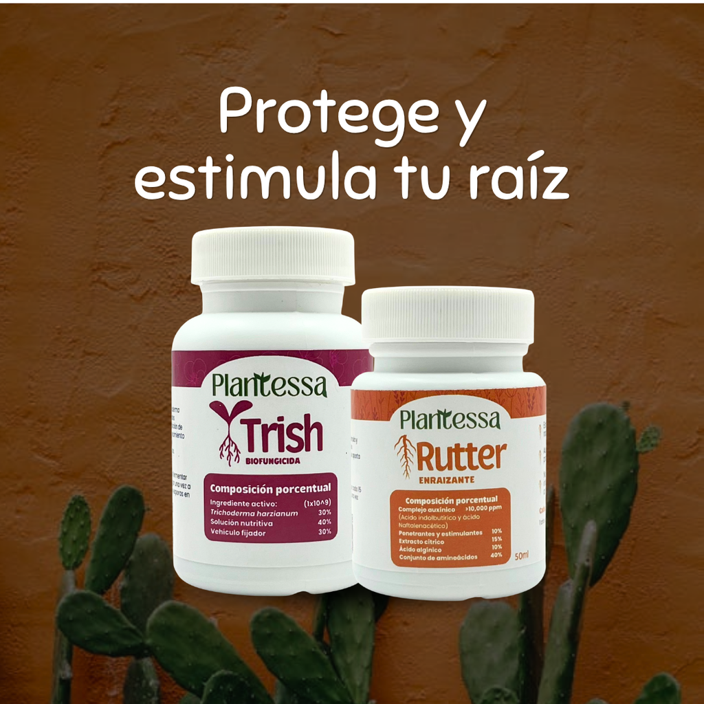 🌱Kit Mejora tu sustrato