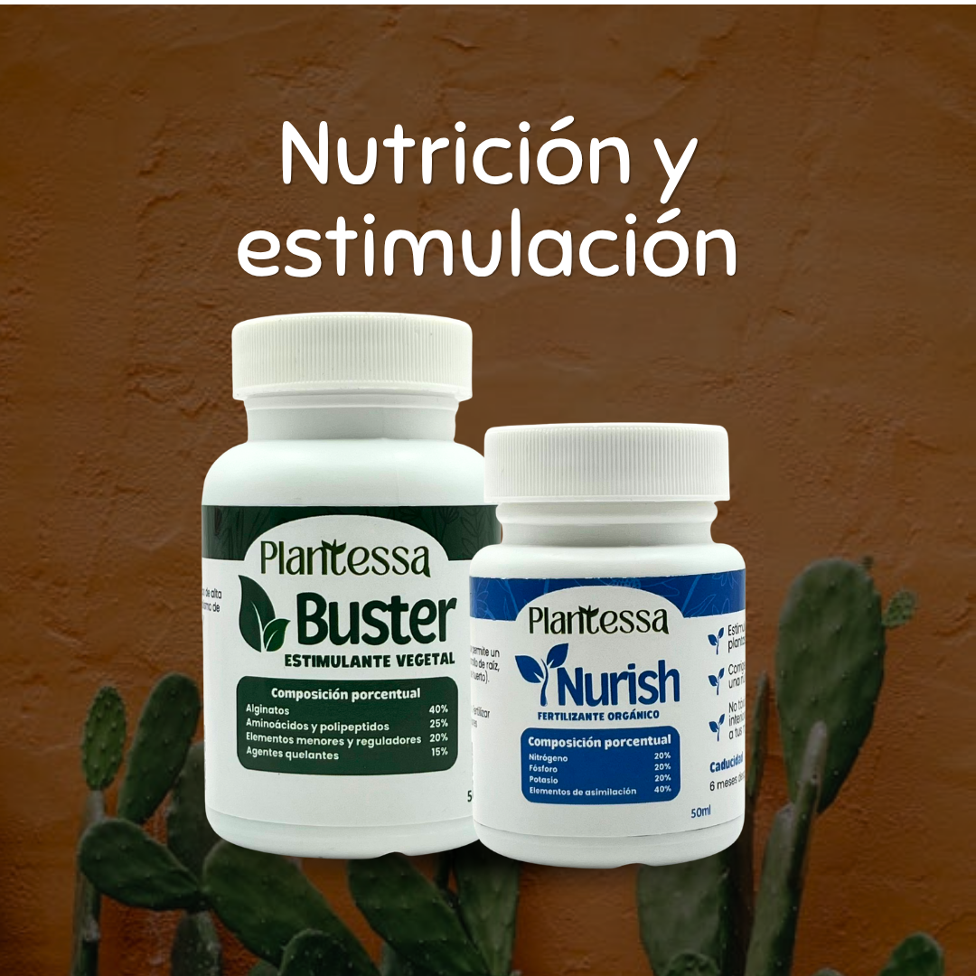 🌱Kit Mejora tu sustrato