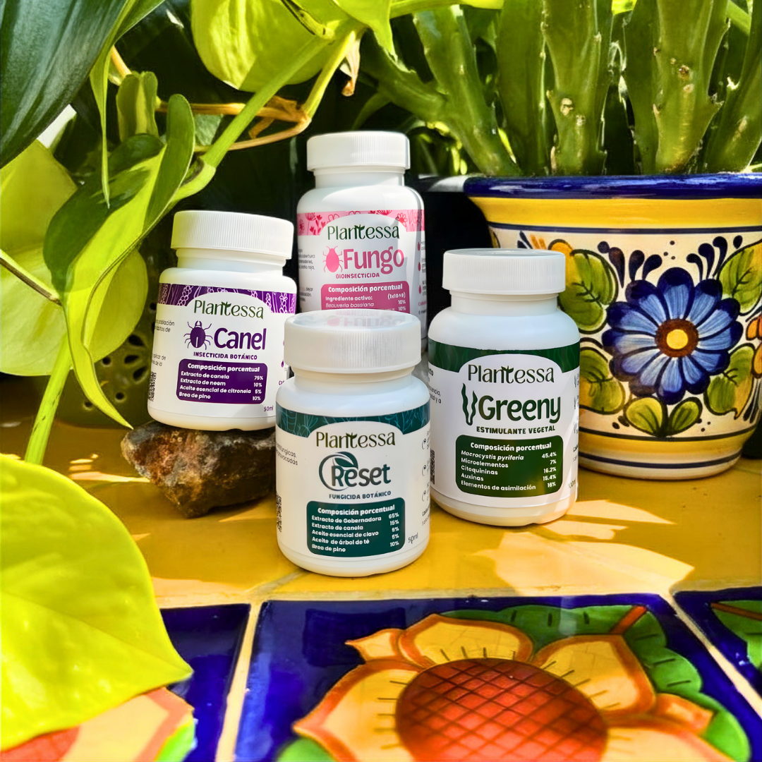 🪴Kit Alivio y Protección