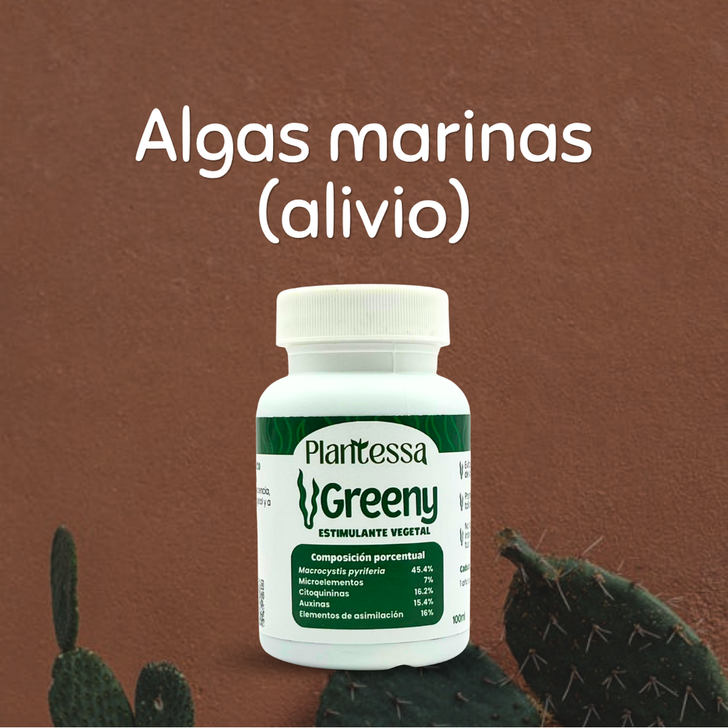 🪴Kit Alivio y Protección