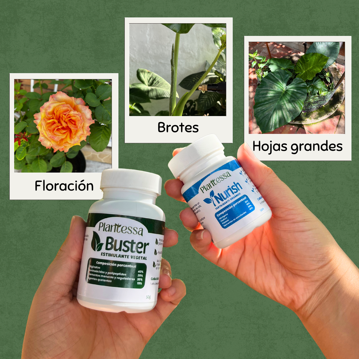 Dúo Frondoso – Nutrición y Estimulación Acelerada