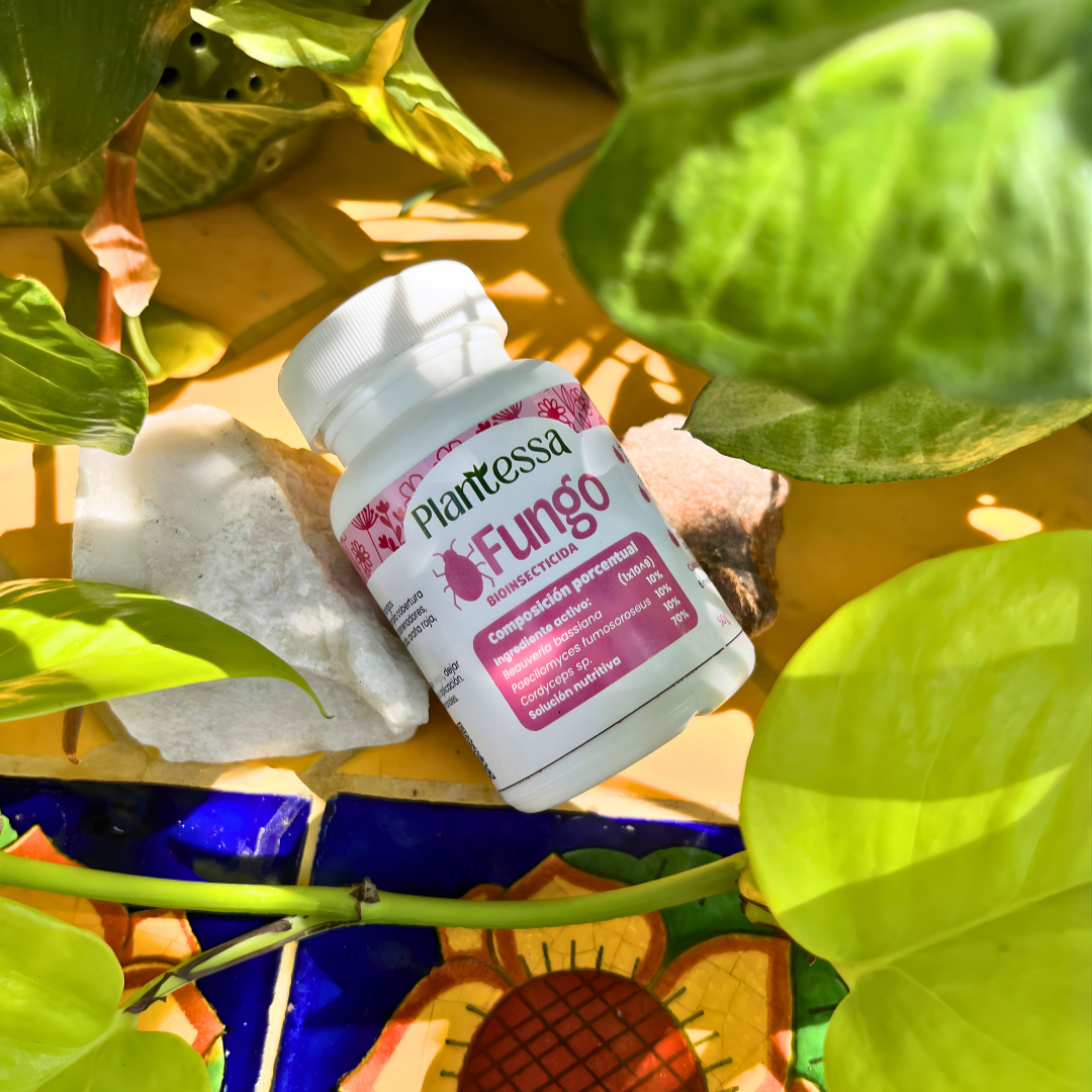 Fungo| Bioinsecticida