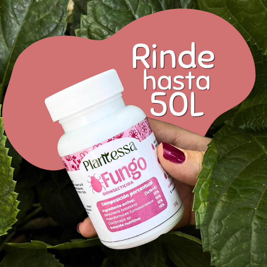 Fungo| Bioinsecticida