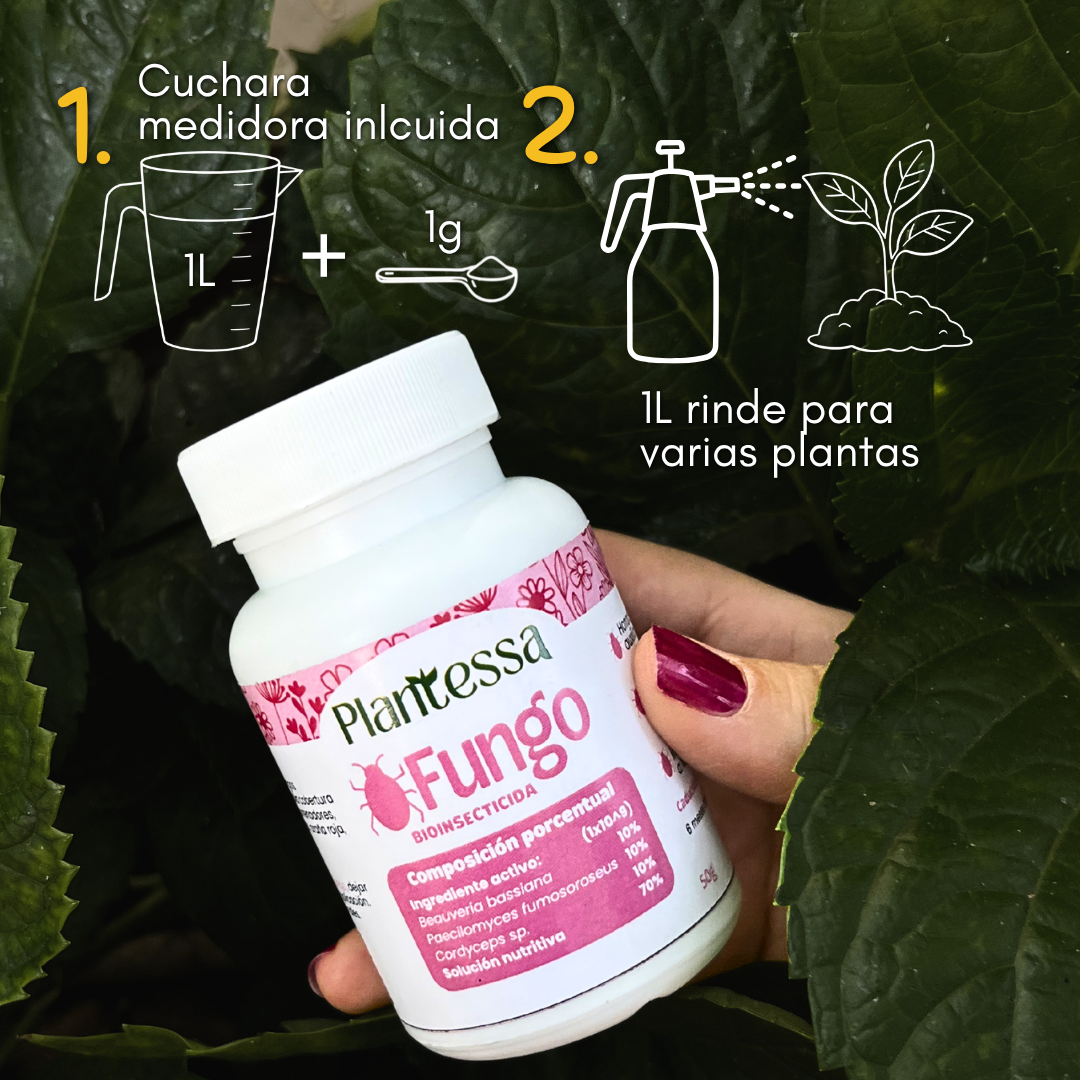 Fungo – Bioinsecticida (Control Biológico)
