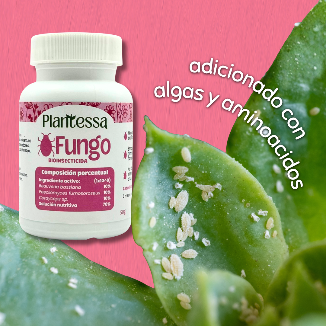 Fungo| Bioinsecticida