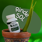 Buster | Estimulante vegetal