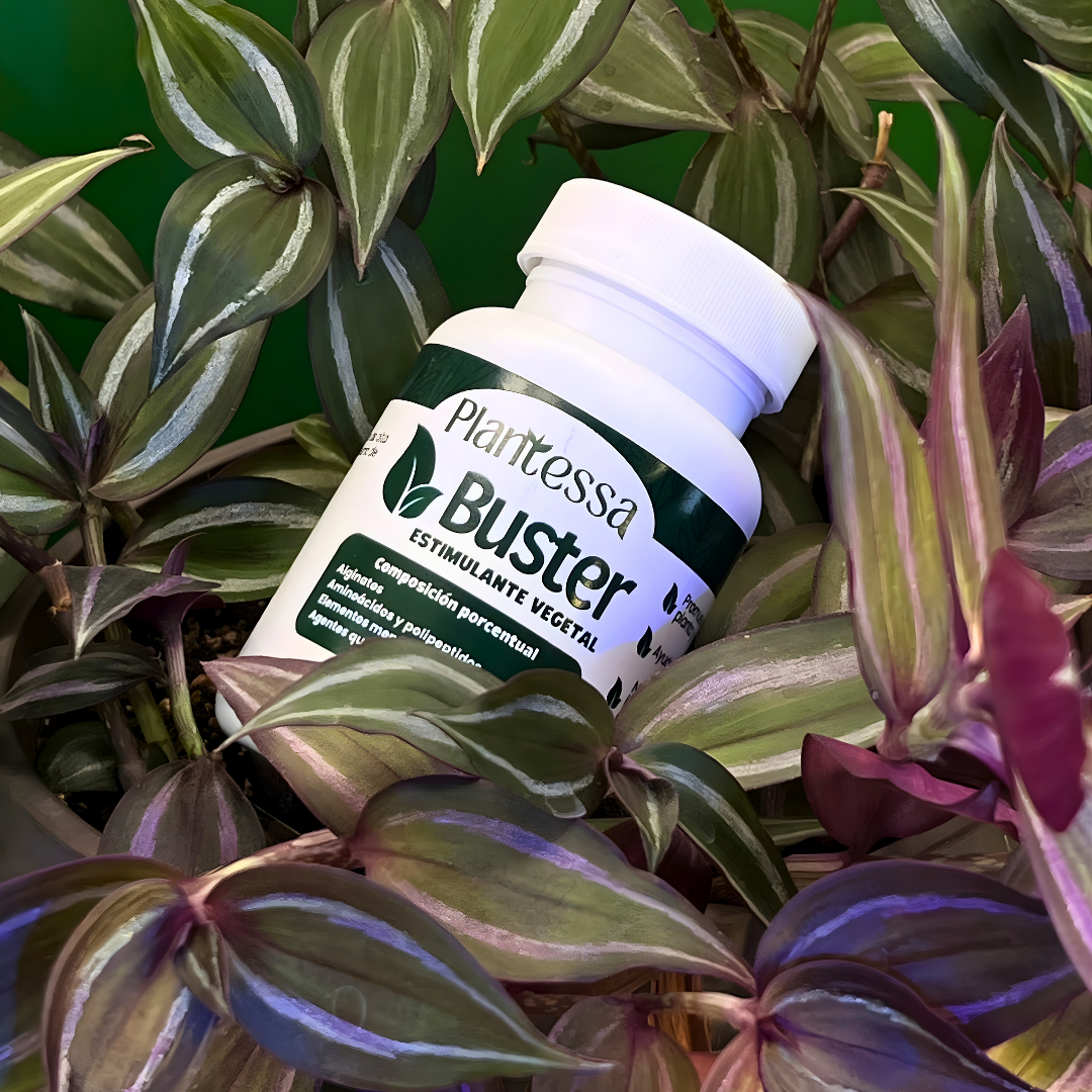 Buster | Estimulante vegetal