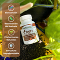 Terra - Biofertilizante (Bacterias Benéficas)