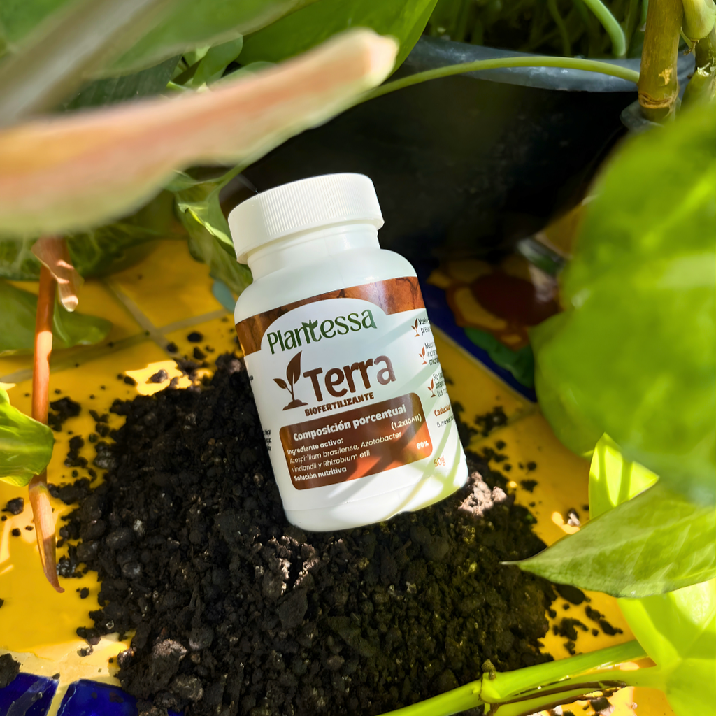 Terra | Biofertilizante