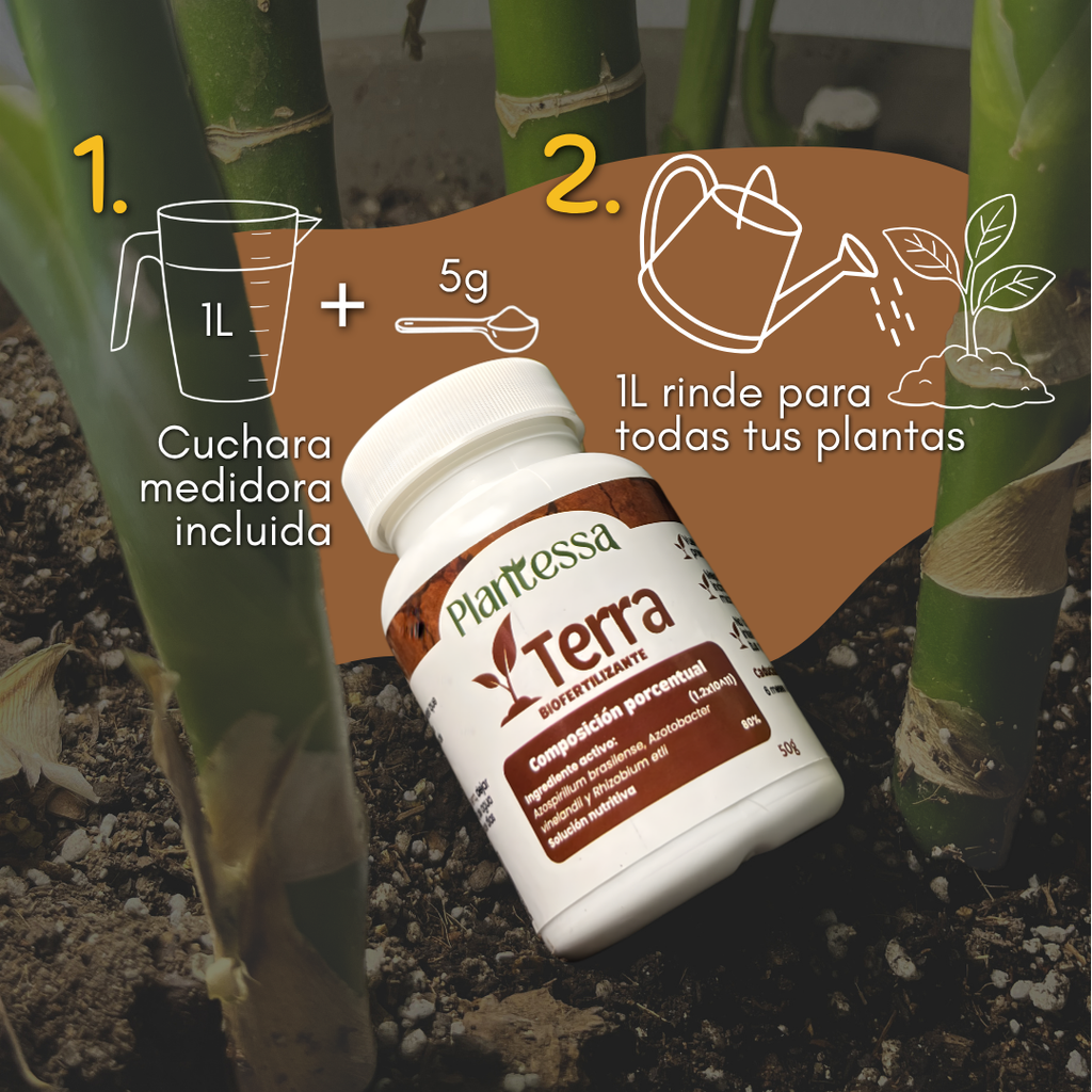 Terra - Biofertilizante (Bacterias Benéficas)