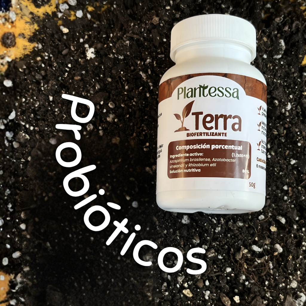 Terra | Biofertilizante