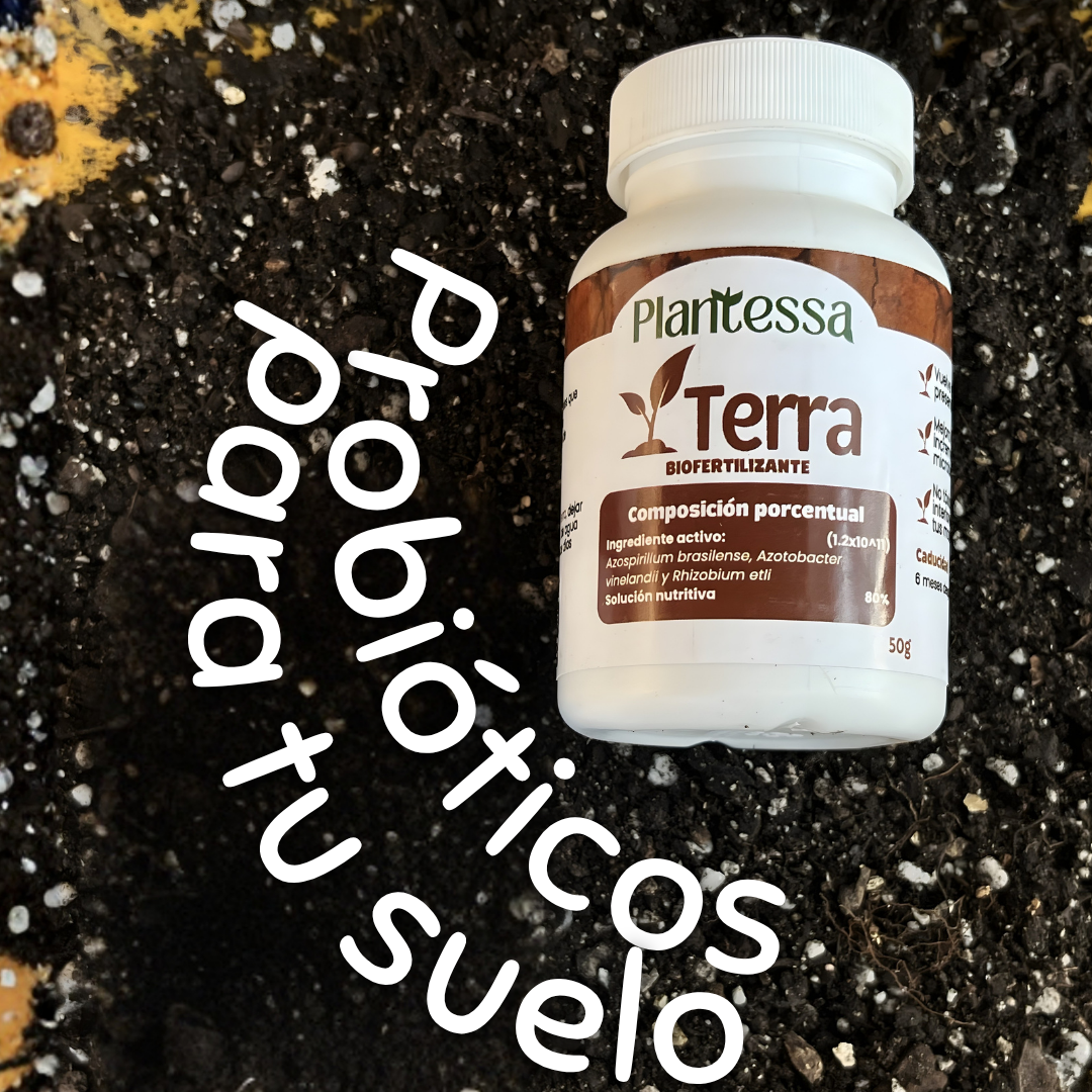 Terra - Biofertilizante (Bacterias Benéficas)