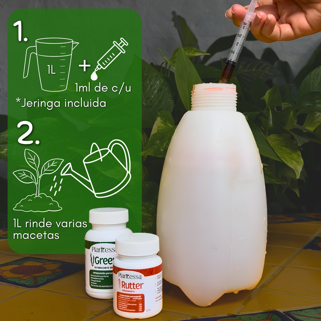 Trasplante seguro – Enraizamiento y Cero Estrés