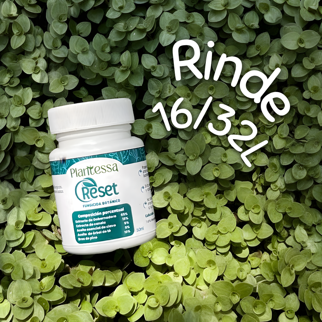 Reset | Fungicida botánico