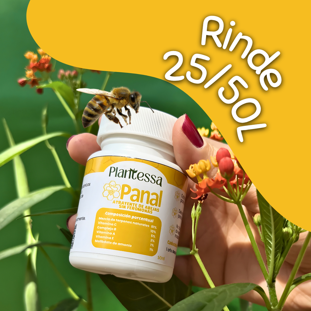 Panal | Atrayente de abejas