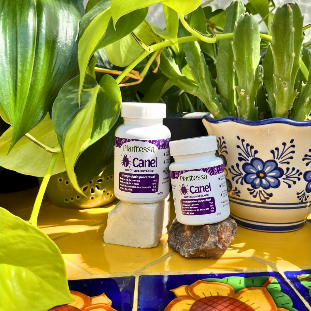 Canel | Insecticida botánico