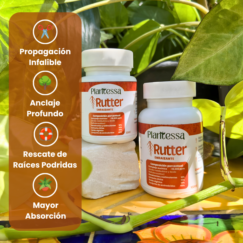 Rutter - Enraizante de Alta Potencia