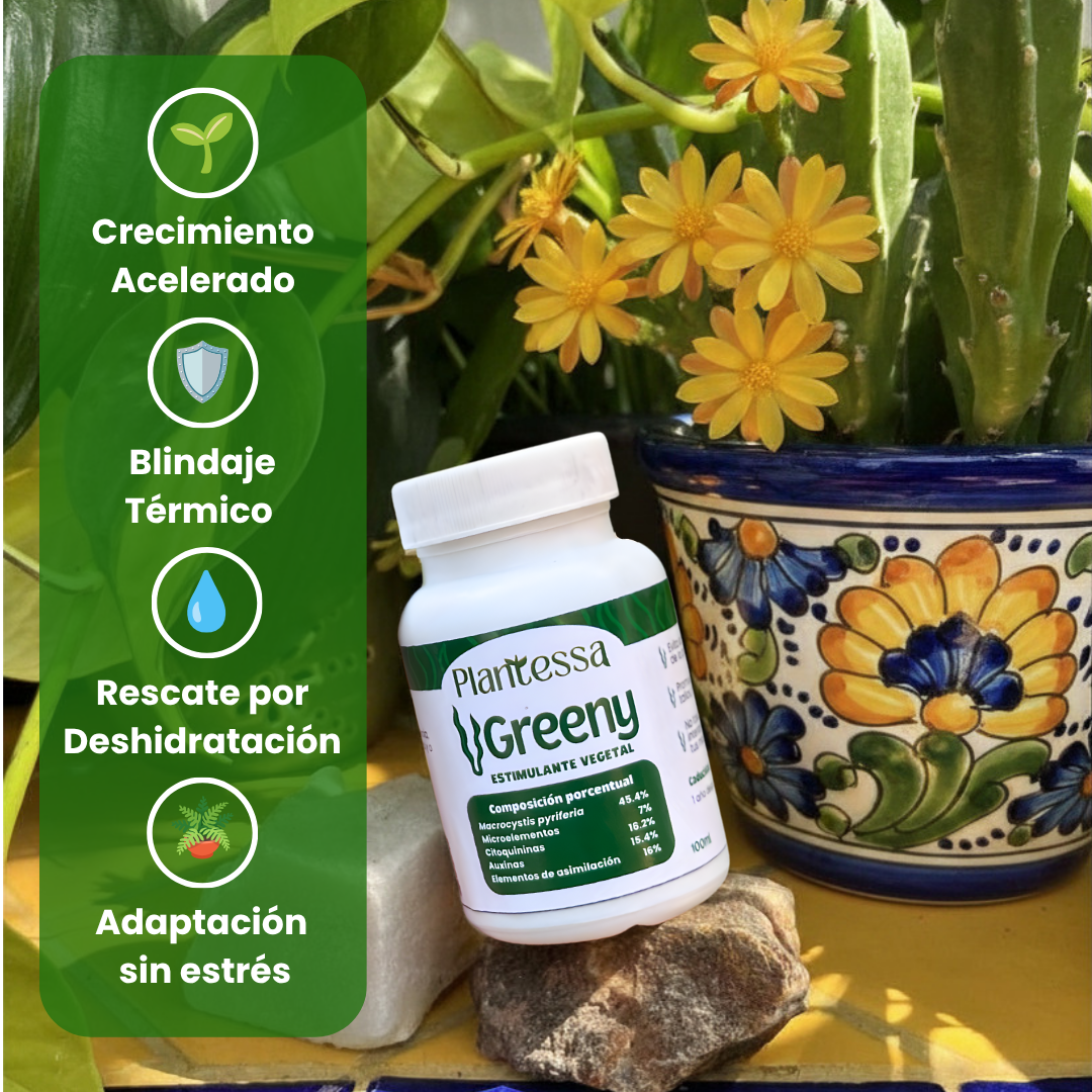 Greeny - Algas marinas, Escudo Anti-Estrés