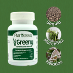 Greeny | Algas marinas