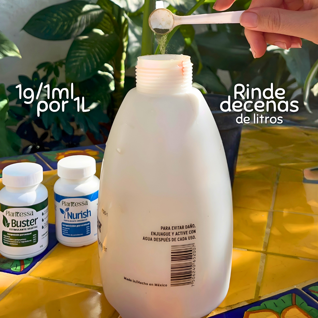 Dúo Frondoso